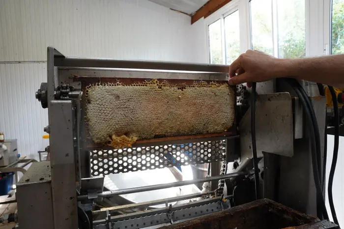 L'extraction du miel se fait mécaniquement. Un couteau désopercule la cire puis les cadres sont centrifugés pour faire s'écouler le miel.