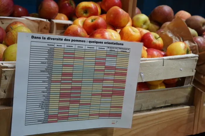 En hiver, présentez la diversité de variétés de pommes en précisant les spécificité de chaque