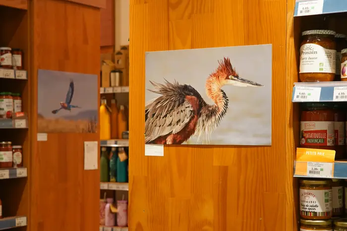 Le magasin expose une bonne vingtaine de clichés de nature sur ses meubles et murs transformant le lieu en salle d'exposition.