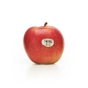 Pomme SwingBio