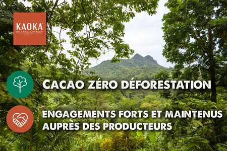 KAOKA ZERO DEFORESTATION